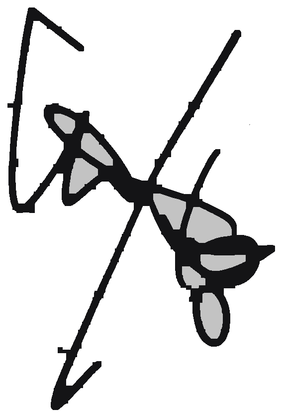 Instructor signature